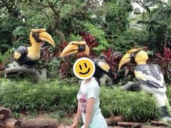 -新加坡飞禽公园