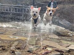 -CONVERSE匡威(王府井店)