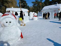 -长春市南湖公园