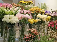 -花未央花店·WEYOUNG