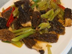 -一盏明灯全素斋(五爷庙店)