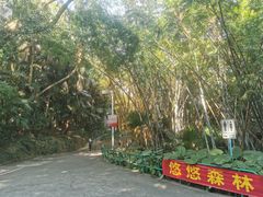 -中山公园(石岐街道)