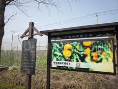 -广富林郊野公园