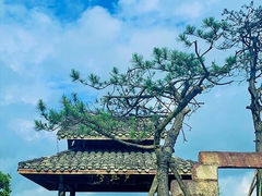 -娄山关景区