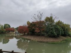 -梁鸿国家湿地公园