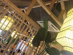 -探窝·竹笙椰子鸡(杨箕店)