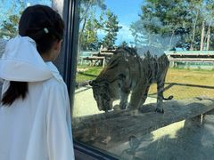 -西霞口神雕山野生动物世界