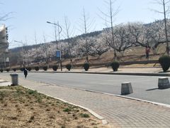 -大连外国语大学(旅顺校区)