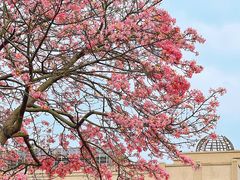 -风云岭森林公园