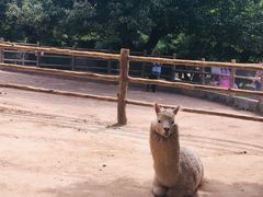 -西安秦岭野生动物园