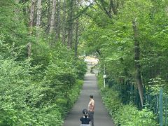 -黑龙江省森林植物园