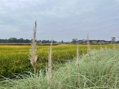 -中国天府农业博览园