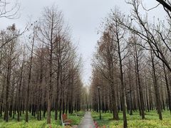 -上海山野camping·户外天幕烧烤·团建拓展营地