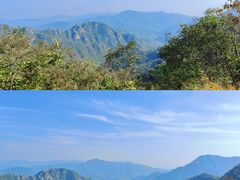 -大岭沟猕猴桃谷风景区