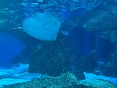 -海合安成都极地海洋公园