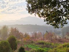 -塔川景区