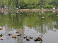 -前关湿地公园