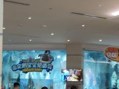 -帝企鹅自助餐厅•儿童岛•真企鹅(长隆企鹅酒店)