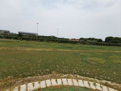 -苏州太湖西山岛开心农场