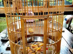 -花溪雨·森林餐厅(石基店)