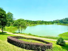 -福建鲤鱼洲酒店