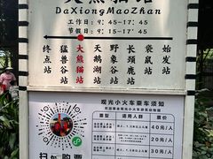 -深圳野生动物园