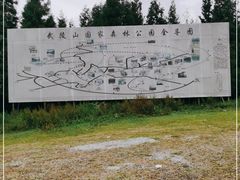 -武陵山森林公园