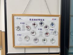 -瑞派康怡24h宠物医院·犬猫医疗中心·微创绝育(瑞景分院)