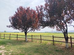 -汉长安城未央宫国家考古遗址公园