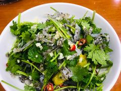 -全乐鱼馆·淳牌有机鱼直营店
