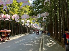 -日照海滨国家森林公园