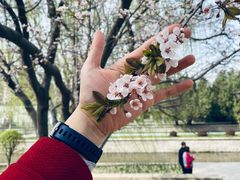 -元大都城垣遗址公园