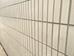 -山东大学千佛山校区-图书馆