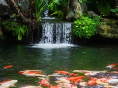 -新世纪大酒楼·30年南海菜