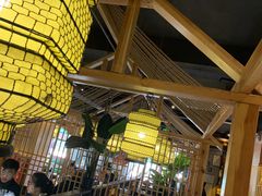 -探窝·竹笙椰子鸡(杨箕店)