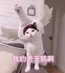 -沈阳名流美容医院