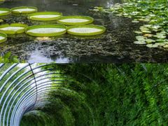 -上海辰山植物园