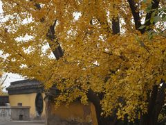 -东山风景区(洞庭东山)