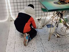 -喵喵咪呀布偶猫咖(春熙路店)