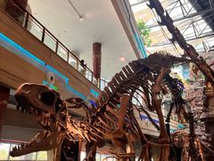 -安徽省地质博物馆