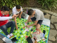 -铁山坪森林公园