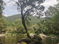 -武汉姚家山旅游景区