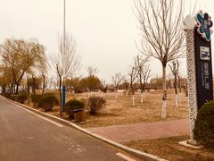 -丁香湖公园