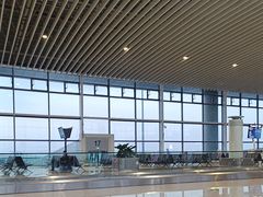 -青岛胶东国际机场