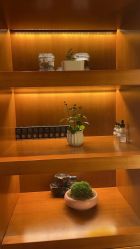 -东英经典SKIN&SPA