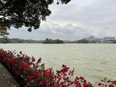 -惠州西湖
