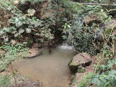-滴水岩森林公园