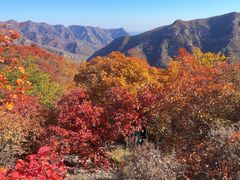 -周口店坡峰岭风景区