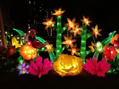 -锦江乐园舞狸花花游园会(夜场专享)