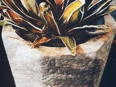 -中华圣公会教堂旧址